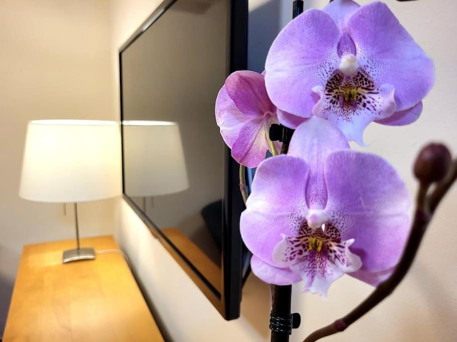 Flamenco, Apartamento Exclusivo De Dos Habitaciones En El Pleno Del Casco Antiguo, Alicante, Playa, Centro Historico, Rambla Eksteriør billede